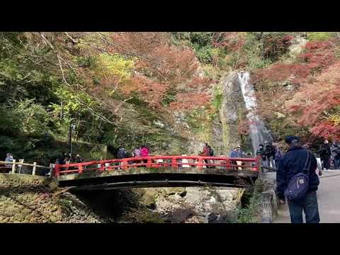 大阪の秋「箕面の滝」