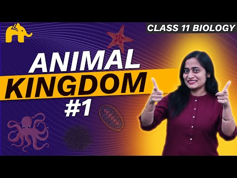 Animal Kingdom Class 11 Biology | NCERT Chapter 4 | CBSE | One Shot  #1