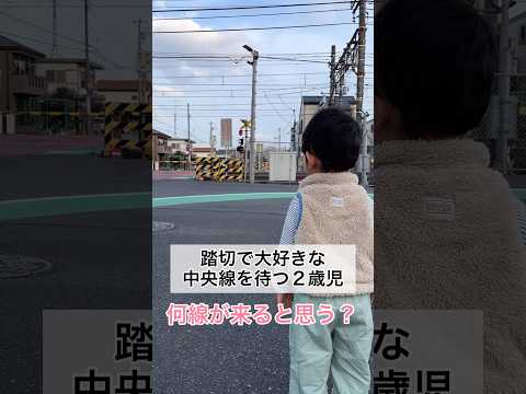 踏切で大好きな中央線を待つ2歳11ヶ月 #shorts #2歳児