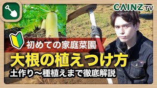 ダイコンの育て方｜大根（だいこん）栽培｜春・秋｜土作りから苗植えが大切｜股根の原因と対策