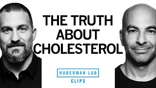 The Truth About Dietary Cholesterol | Dr. Peter Attia & Dr. Andrew Huberman