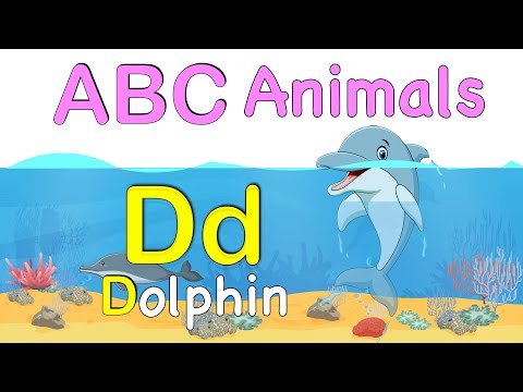 ABC Animal Aa-Zz