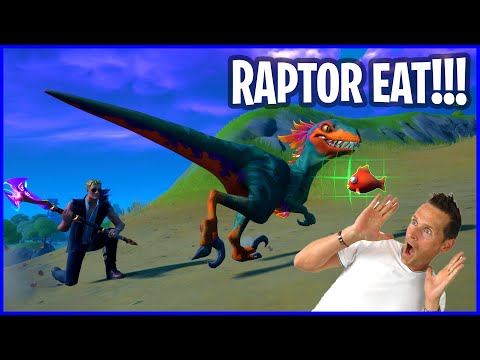 TAMING A RAPTOR WITH FISH AND MEAT!