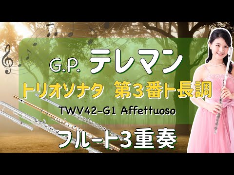 【フルート3重奏】テレマン：トリオソナタTWV42-G1よりAffettuoso [ 3 Flutes ] Telemann : Trio Sonata TWV42-G1-Affettuoso