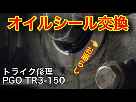 PGO TR3-150 ドライブシャフト オイルシール交換　T-REXトライク