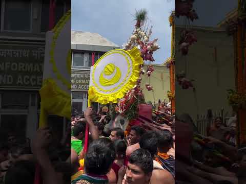 Lord of universe Shree Jagannath🙏🏻🥺 ||Rath Yatra 2024 || #youtube #shorts #shortvideo #trending