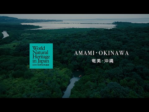 奄美・沖縄の1日をめぐる｜日本の世界自然遺産　Through a Day on Amami・Okinawa | World Natural Heritage in Japan