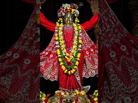 ♥️ Today's darshan of narasimha Deb, Radha Madhav, panchatatwa divine ♥️ 26/12/2024 #mayapuriskcon