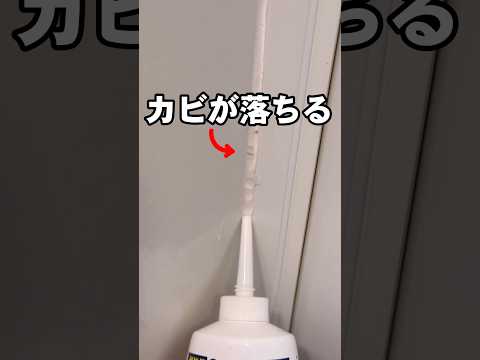 ゴムパッキンについたカビを簡単に落とす方法