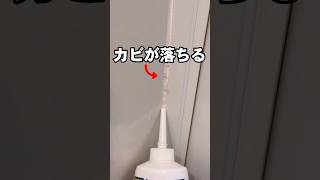 ゴムパッキンについたカビを簡単に落とす方法