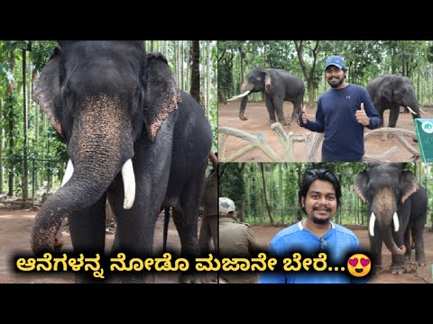 Sakrebyle Elephant Camp, Shivamogga | ಸಕ್ರೆಬೈಲು ಆನೆ ಬಿಡಾರ | Likhith Shetty Vlogs |