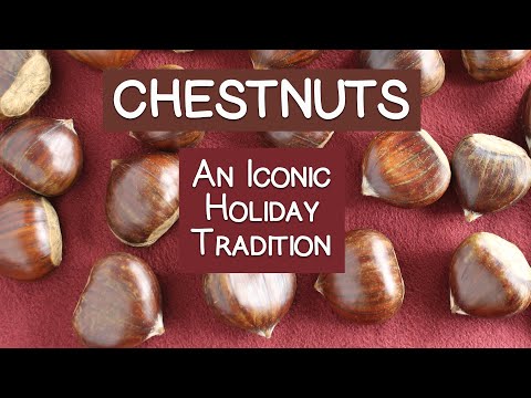 CHESTNUTS - An Iconic Holiday TRADITION