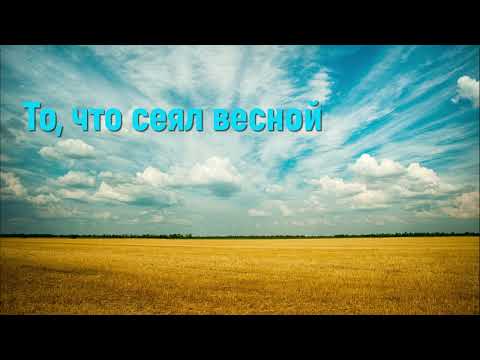 То, что сеял весной  - Христианская песня на день жатвы #деньжатвы