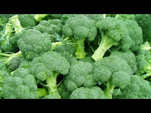 How to Cook Broccoli to Perfection