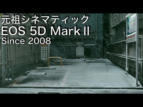 4シーズンぶりの雪の東京新宿 / 2022年も現役カメラとしてEOS 5D2をオススメします / 元祖シネマティック Canon EOS 5D MarkⅡ / Snow Tokyo / 作例