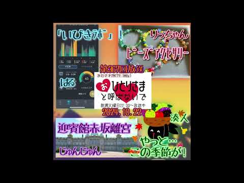 【2024/10/22】第367回　おひとりさまと呼ばないで