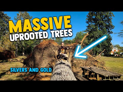 Metal Detecting The Bases of MASSIVE Uprooted Trees - MULTIPLE SILVERS & GOLD!