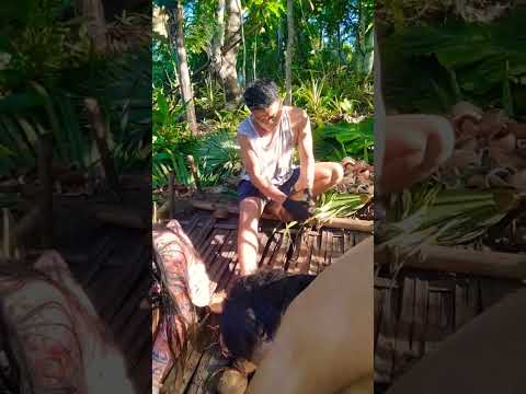 Life in the Philippines🇵🇭Copra Making Product Made From Coconut#farmer #asmr #countryside #rurallife