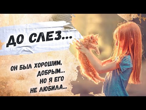 Урок на всю жизнь, не суди по внешности... Вероника Тушнова «Котенок» Стихи о жизни