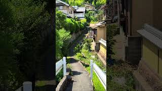 4K Japan Walk #japan #japanwalk #shorts #walkingtour