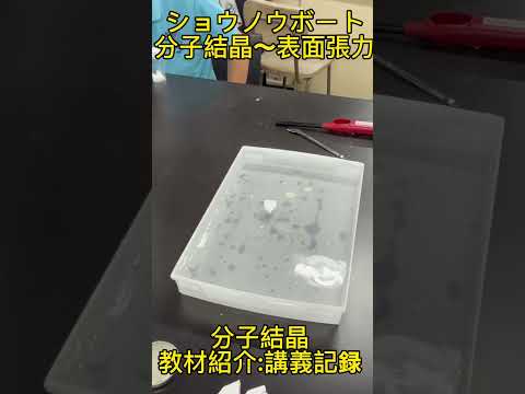 ショウノウボート　結晶表面から昇華する成分が〜 #科学実験