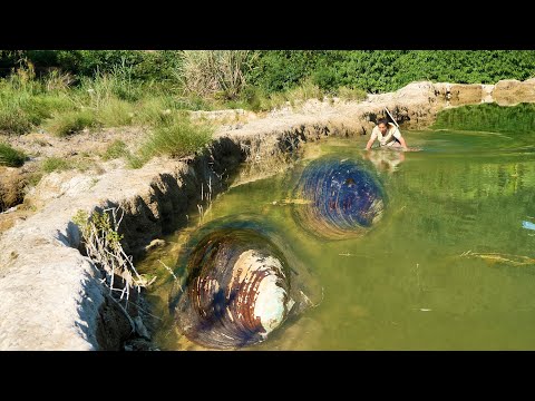 The clams perched on the dam brought the girl unexpected wealth, it was so exciting