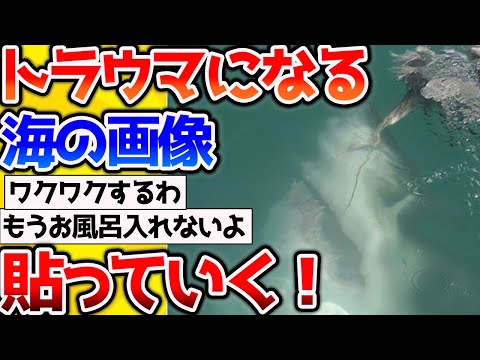 【2ch動物スレ】【閲覧注意】トラウマになるほど海が怖くなる画像をくだい！→やっぱこわすぎる！ #生き物 #2ch