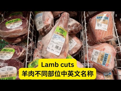 带你认识美国超市羊肉不同部位的英文名称，逛Costco和Walmart买羊肉