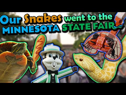 Our Snake Display at the Minnesota State Fair!