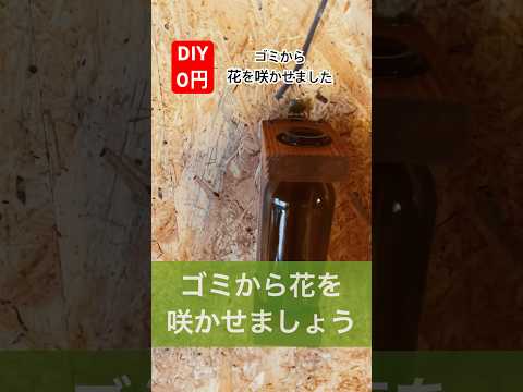 diyゴミから0円で作る一輪挿しで花を咲かせました#diy#リサイクル #0円 #ゴミ