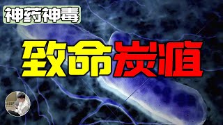 恐怖的炭疽生物武器如何攪亂美國華盛頓郵政系統，為什麼全世界都應該禁止生物武器研究