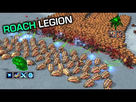 Do 1000 Roaches beat 60 Reavers? Co-op units vs standard units