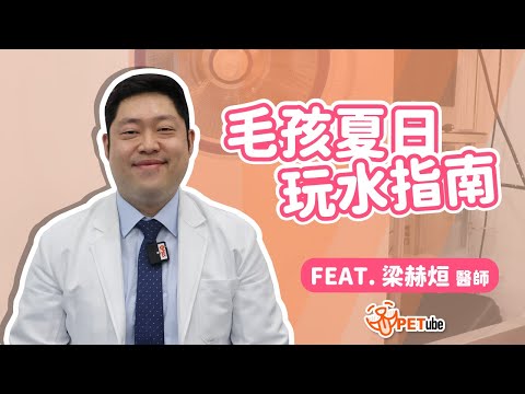 毛孩夏日玩水指南！Feat.杜克動物醫院 梁赫烜獸醫師【哈寵小學堂】｜#哈寵PETube 第 237 集