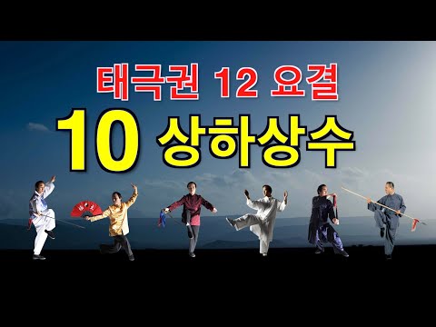 taichi chuan - 태극권 12요결(太極拳十二要訣) - 10. 상하상수(上下相隨)