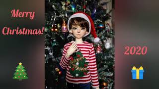 Bjd Christmas