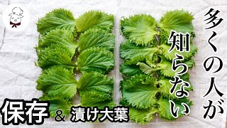 How to make pickled perilla leaves for how much rice you can eat ｜ How to wash and store