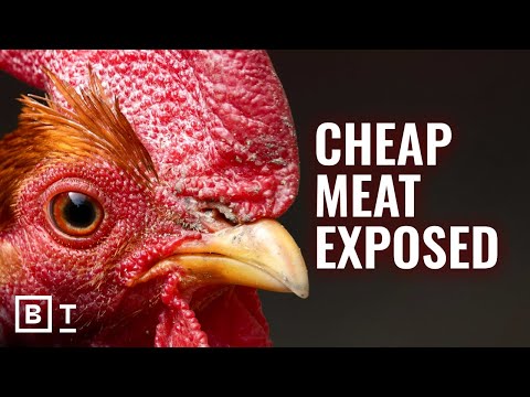 The hidden cost of cheap meat exposed by Peter Singer