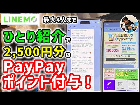 「紹介で1万円！」ラインモ紹介キャンペーンの参加条件は？最大10,000円分のPayPayポイントを貰おう！