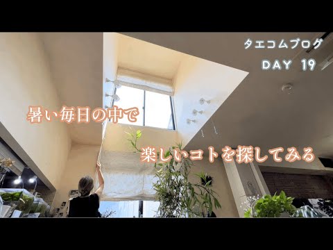 50代主婦vlog／暑い毎日の中で楽しいコトを／息子の帰宅／指輪作り／可愛いポストカード