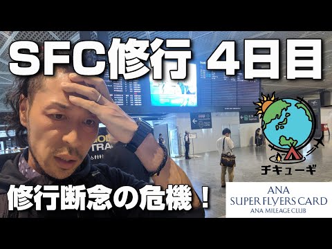 【SFC修行】全8日間でプラチナ会員へ！4日目『緊急事態発生！修行断念の危機！？』