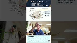 【 #国試1分道場 】骨の組織構造｜ハバース管とハバース層板を合わせて骨単位（オステオン）【 #かずひろ先生 #解剖学 】