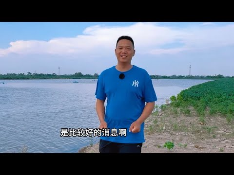 鲫鱼苗太多，又准备卖鱼了！老滑鱼不好拉网，大家有什么好办法？