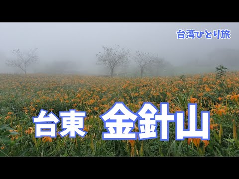 【台湾】金針山で一面に咲く金針花を見て感激しました〜台東金針山一日遊〜(#40)