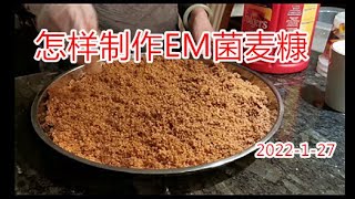 家庭制作EM菌 麦糠的方法  The method of making EM  wheat bran at home/庭院种植篇#22-10/22-1-27