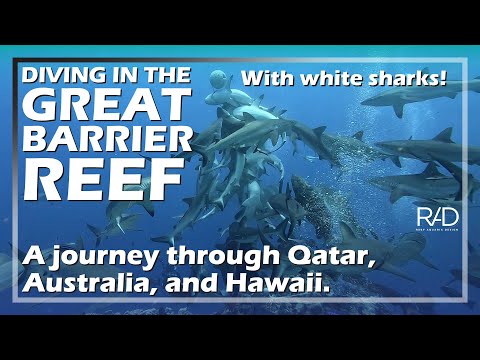 ENJOYING THE MESMERIZING MARINE LIFE ON THE OTHER SIDE OF THE WORD. QATAR, AUSTRALIA, HAWAII PART 1