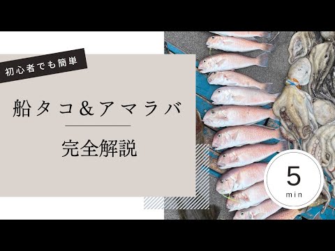 【5分で解説】船タコ・アマラバリレー便【釣行記】【中型青物ハンター】