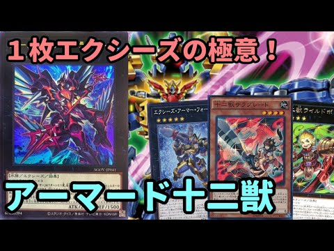 【#遊戯王】1枚エクシーズの更なる進化！簡単展開で分かりやすい『アーマード十二獣』紹介します！