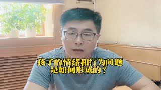 孩子的情绪和行为问题是如何形成的？