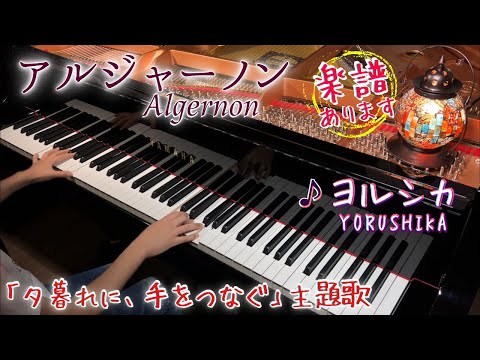 【楽譜あり】アルジャーノン - ヨルシカ/Algernon - Yorushika/夕暮れに、手をつなぐ主題歌/ Piano cover + sheet music/ 耳コピで弾いてみた