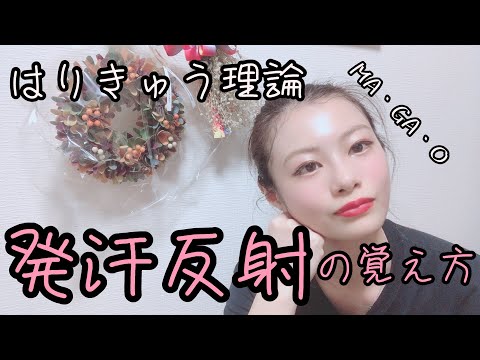 【はりきゅう理論】発汗反射の覚え方は高木ブーさん！？【Biancaなざと】